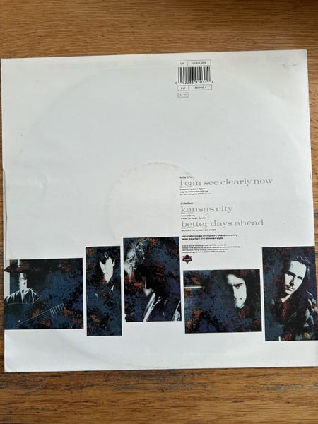 Hothouse Flowers “I Can See Clearly Now” UK 12” Single . Carousel 2