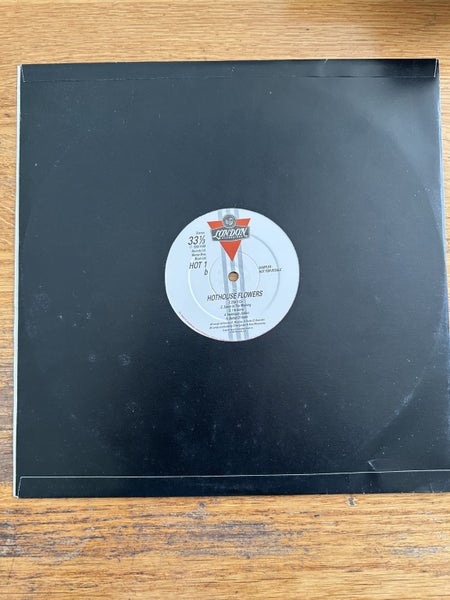 Hothouse Flowers “People” 12” 5-Track Sampler . Carousel 2