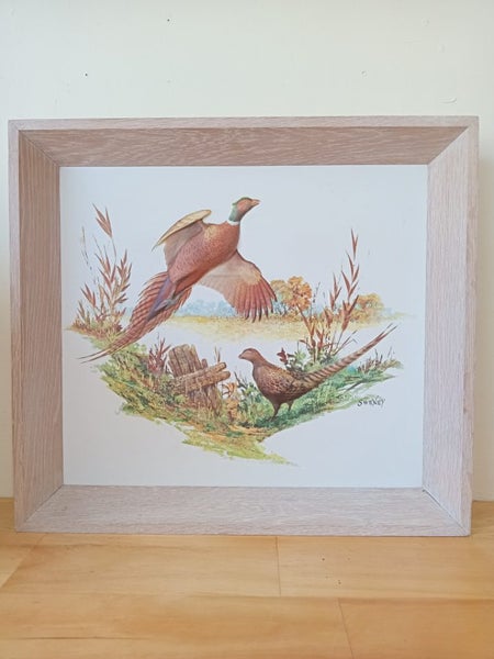 Pheasants in flight 3d formcraft art print by frederick sweney (43cm x 39cm) Carousel 2