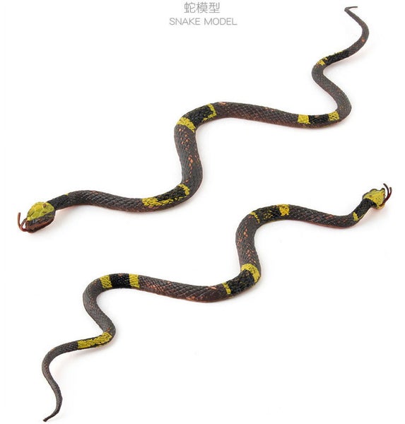 Realistic Tinker Rattlesnake Toy Set, Educational Snake Toys for Kids, Plasti Carousel 9