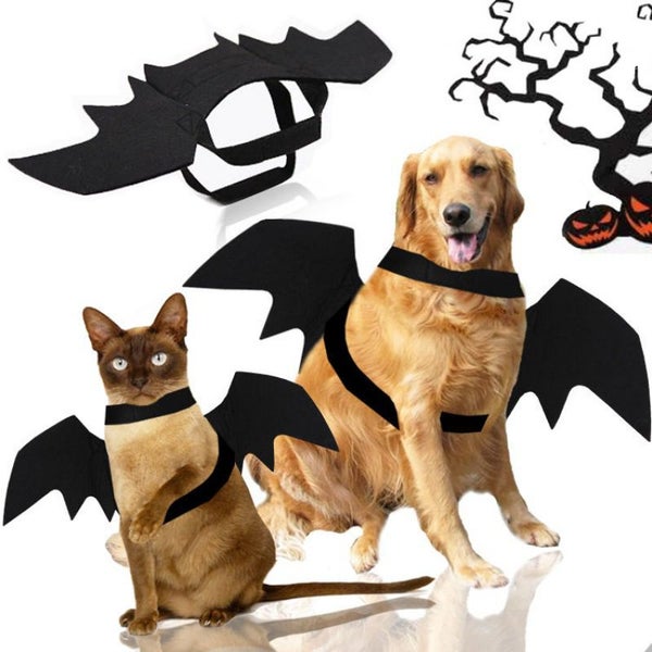 Halloween Costume For Dogs Pet Bat Wings Cat Dog Bat Costume Wings Dress Up Pet Carousel 1