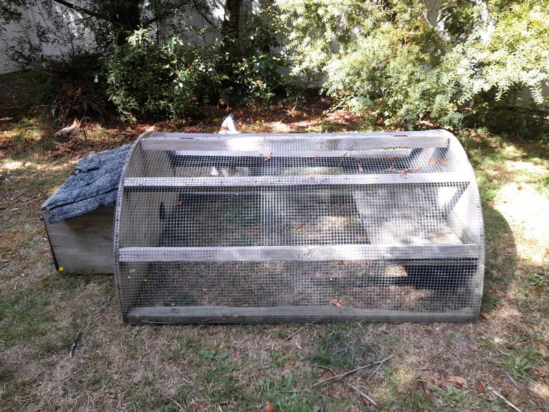 Guinea pig or rabbit hutch cage Carousel 1