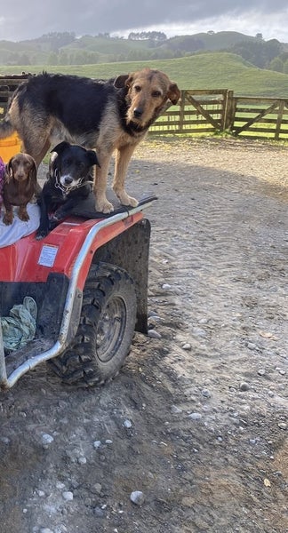 10yo Heading Bitch Carousel 1