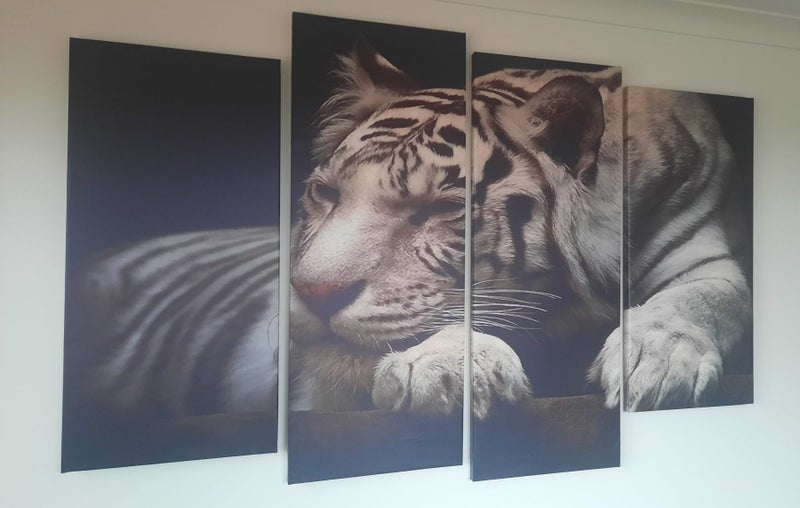 Tiger (White)Canvas Carousel 1