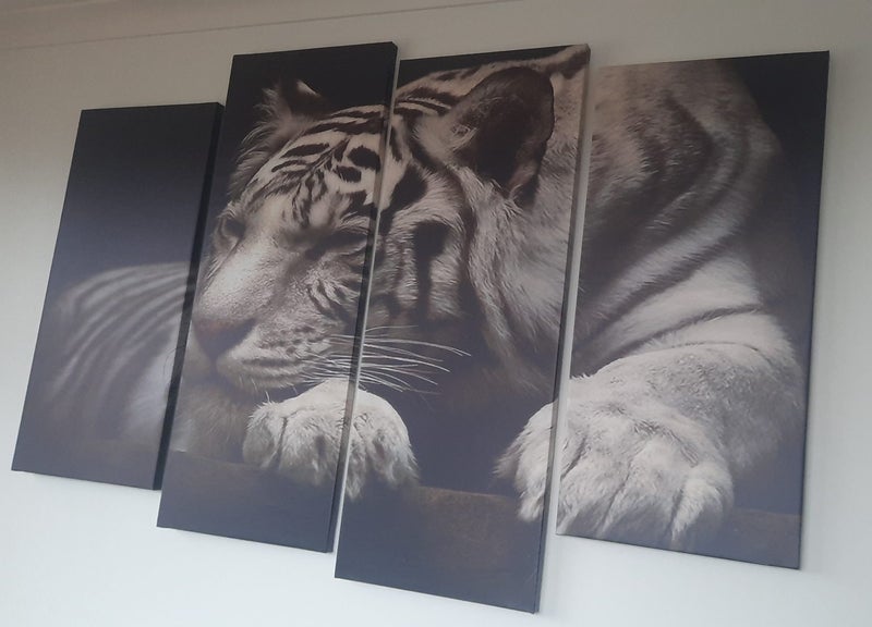 Tiger (White)Canvas Carousel 2