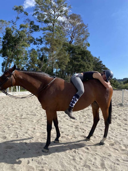 Quality all round pony Carousel 11