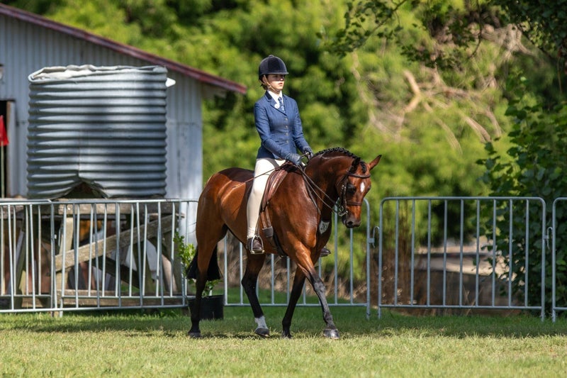 Quality all round pony Carousel 1