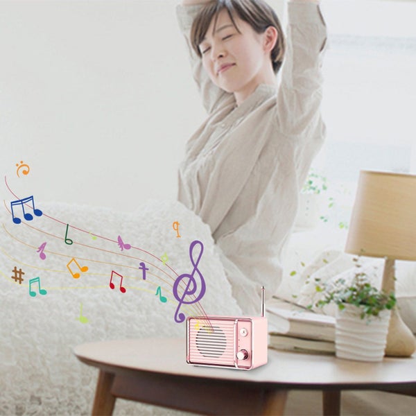 DW01 Wireless Bluetooth Audio Outdoor Portable Creative Retro Style Emotional Carousel 6