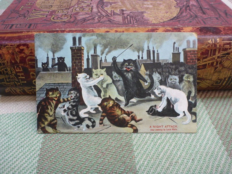 Awesome Old Vintage Novelty Postcard A Night Attack By Artist Louis Wain Carousel 1