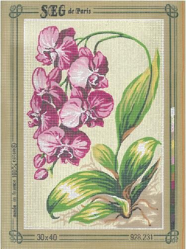 SEG De Paris Tapestry Canvas 30X40 #231 Carousel 1