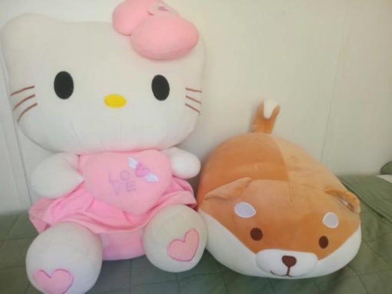 Hello Kitty & Corgie plushies Carousel 2