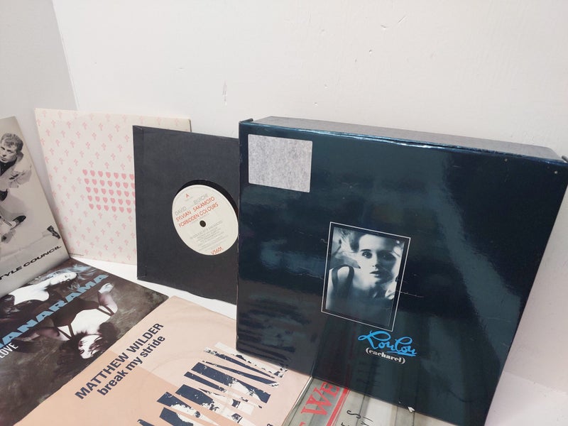 Assortment of Vinyls Carousel 10