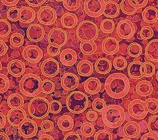 Northcott Deborah Edwards Basics - Shimmer 22992M-26 CORAL REEF Carousel 1