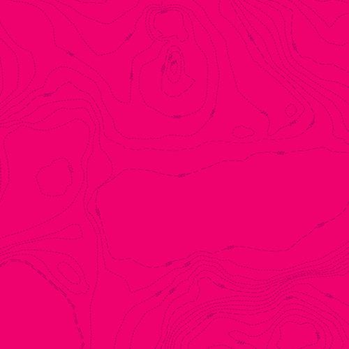 Andover Fabric Alison Glass Sun Prints 2023 - Topography Iodine Carousel 1