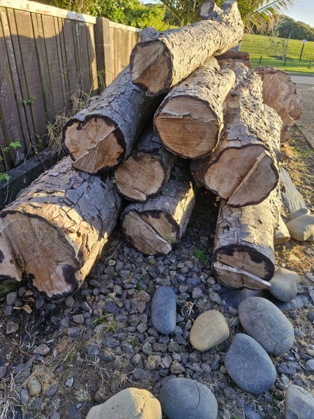 Rimu Logs Carousel 1