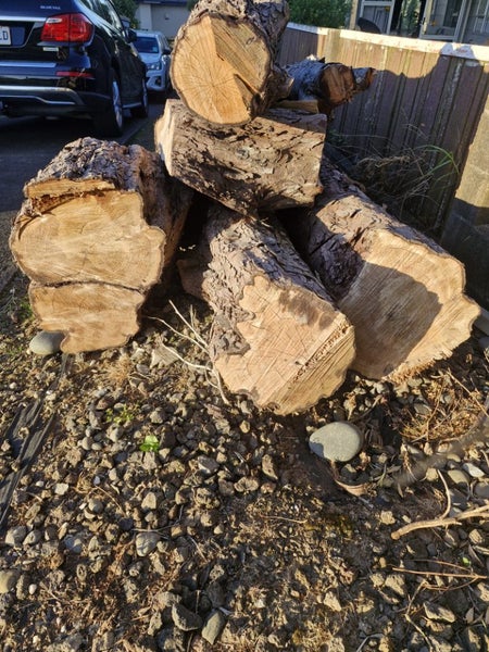 Rimu Logs Carousel 2