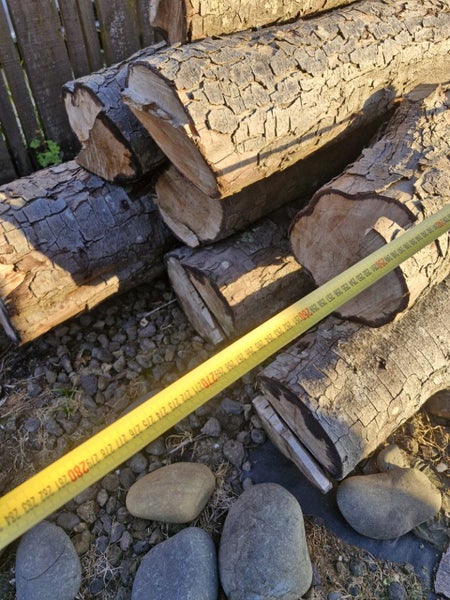 Rimu Logs Carousel 11