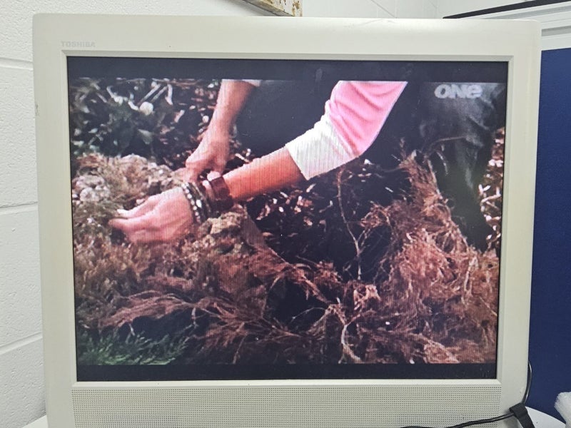 Panasonic NV-HD600 VCR player Carousel 2