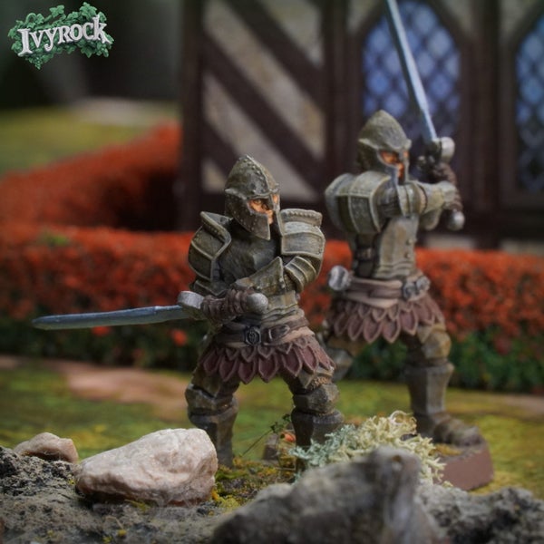 Imperial Legion Foot Patrol Carousel 9