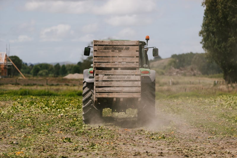Brownrigg Agriculture Carousel 2