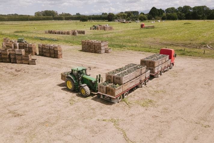 Brownrigg Agriculture Carousel 3