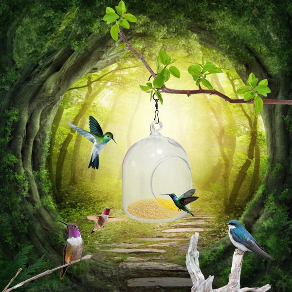 New Glass Bird Feeder, Circular Home Decoration Courtyard Shower Hanging Inst Carousel 1