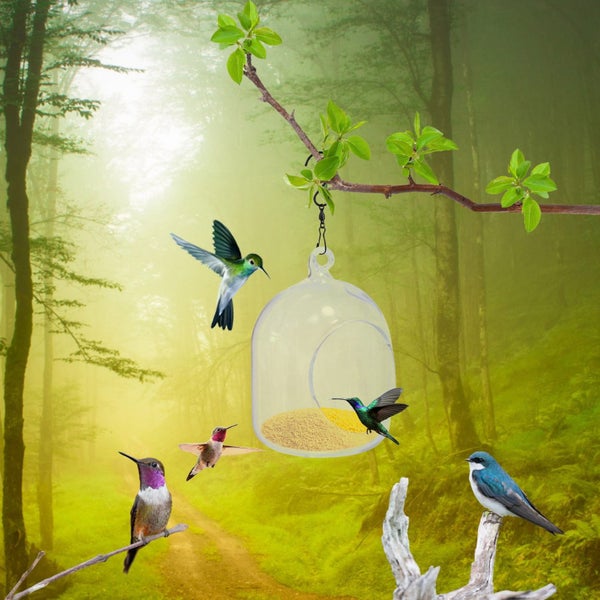 New Glass Bird Feeder, Circular Home Decoration Courtyard Shower Hanging Inst Carousel 9