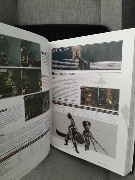 Dark Souls Limited Edition guide Carousel 3