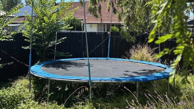 Trampoline Carousel 1