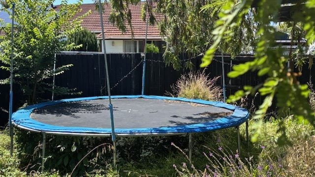 Trampoline Carousel 2