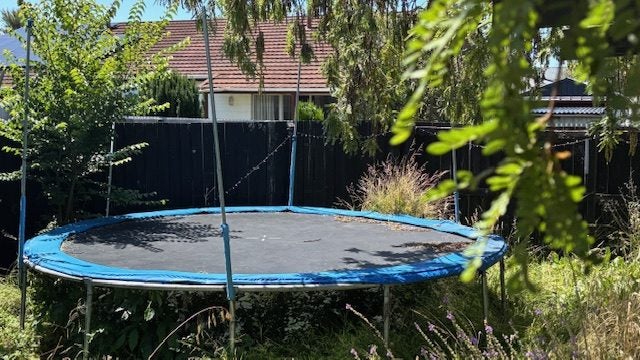 Trampoline Carousel 3