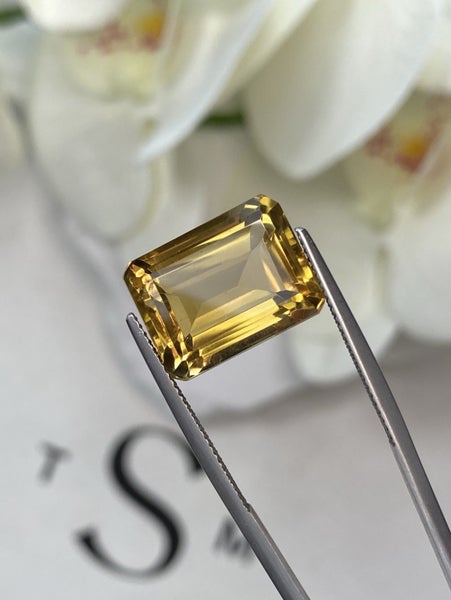 $1RES ~ $1750 Buy Now * 17.77ct Madeira Citrine Carousel 5