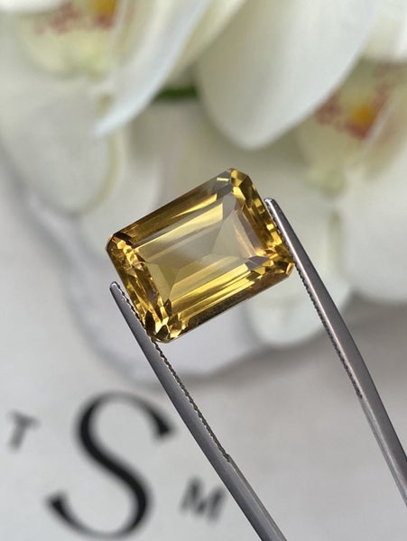 $1RES ~ $1750 Buy Now * 17.77ct Madeira Citrine Carousel 1