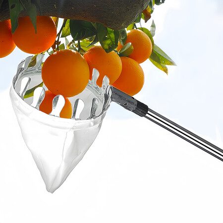 Fruit Picker Tool Carousel 9