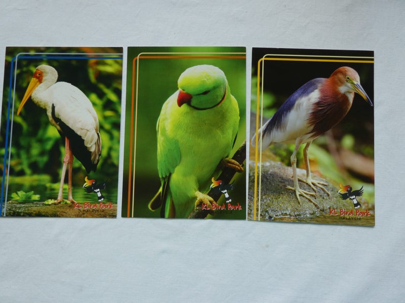 Postcard. 3 Cards - KL Bird Park. Carousel 1