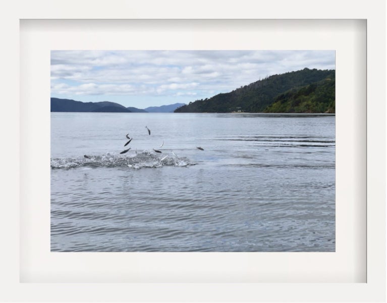 Professional Art by James Wilder Carousel 1