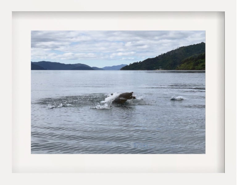 Professional Art by James Wilder Carousel 1