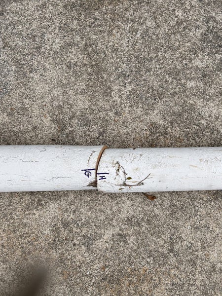 Oregon flag poles Carousel 11