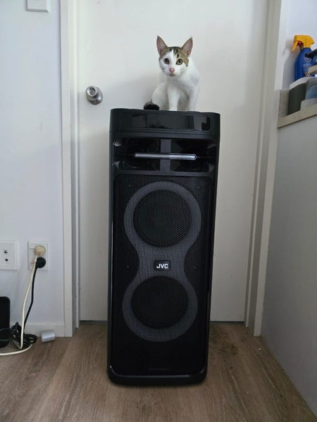 JVD SonicBoom Party Speaker Carousel 2