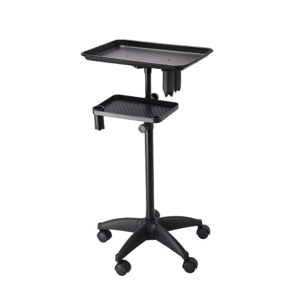 Salon Trolley Cart Hairdressing Hair Colouring Extension Tray Storage Spa Beauty Carousel 9