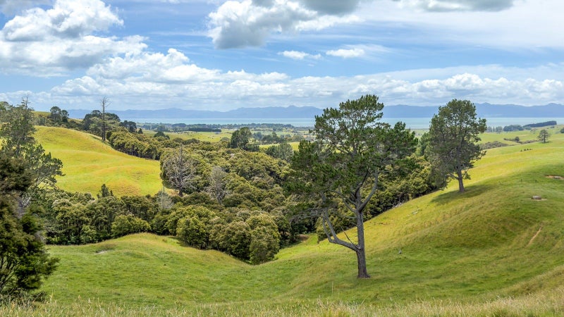 Image 1 of 18