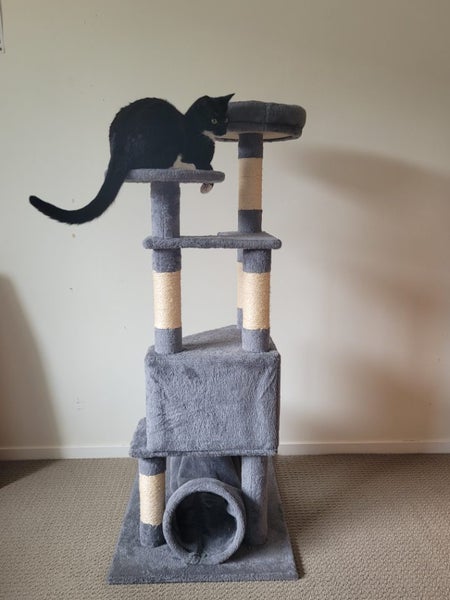 Cat Scratching Tower Carousel 4