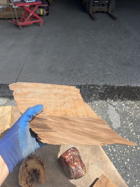 15.7 kg One Lot of Solid Ancient Swamp Kauri Offcuts Carousel 11