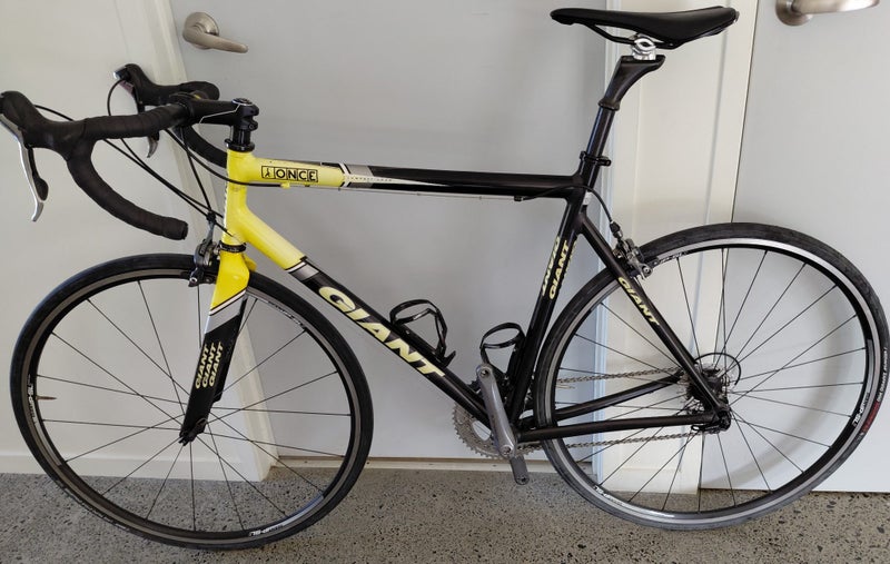 Giant TCR Carousel 2