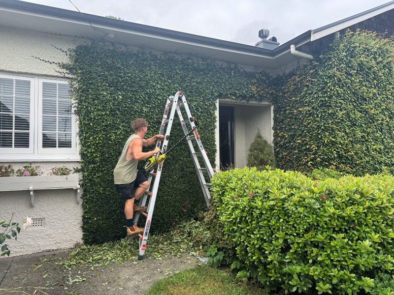 Hedge Trimming / Tree Trimming Carousel 1