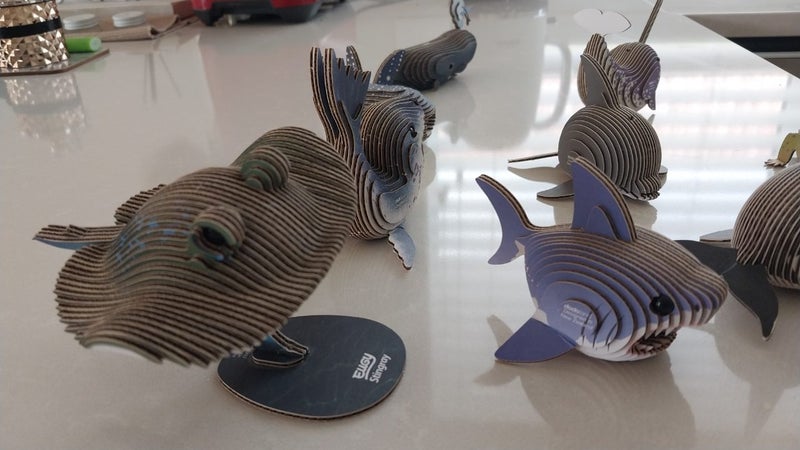 Eugy cardboard models completed Carousel 5