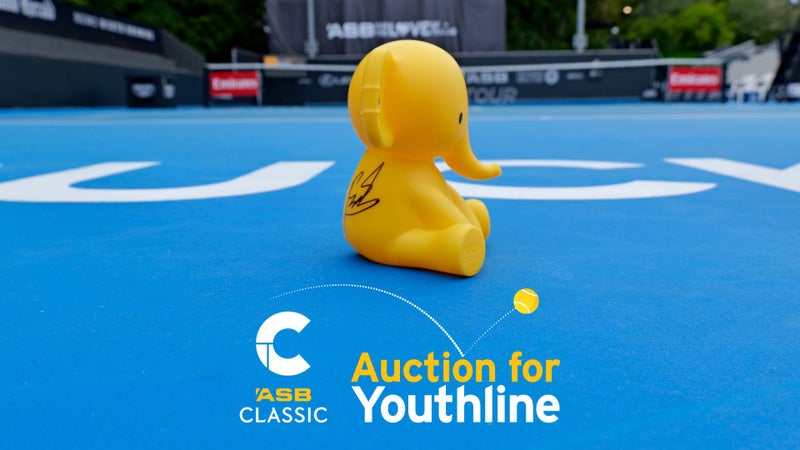 Limited Edition ASB Kashin Money Box Signed by Ben Shelton Carousel 1