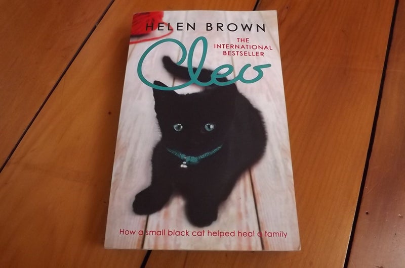 Cleo - Helen Brown Carousel 1