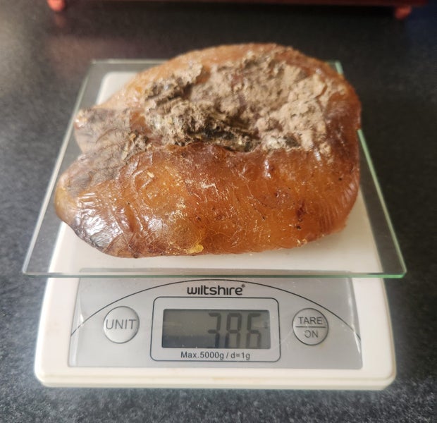 Kauri Gum Carousel 1