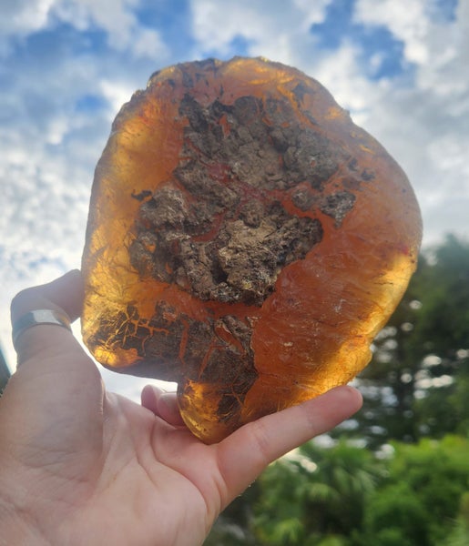 Kauri Gum Carousel 2